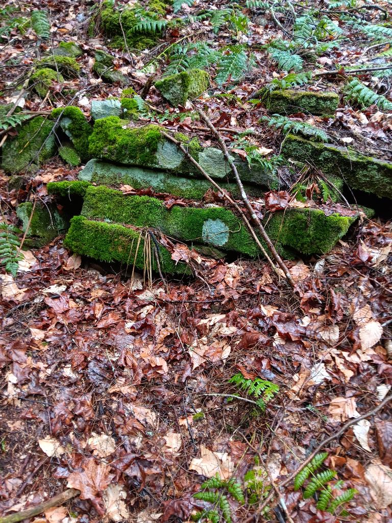 Nature's stonework