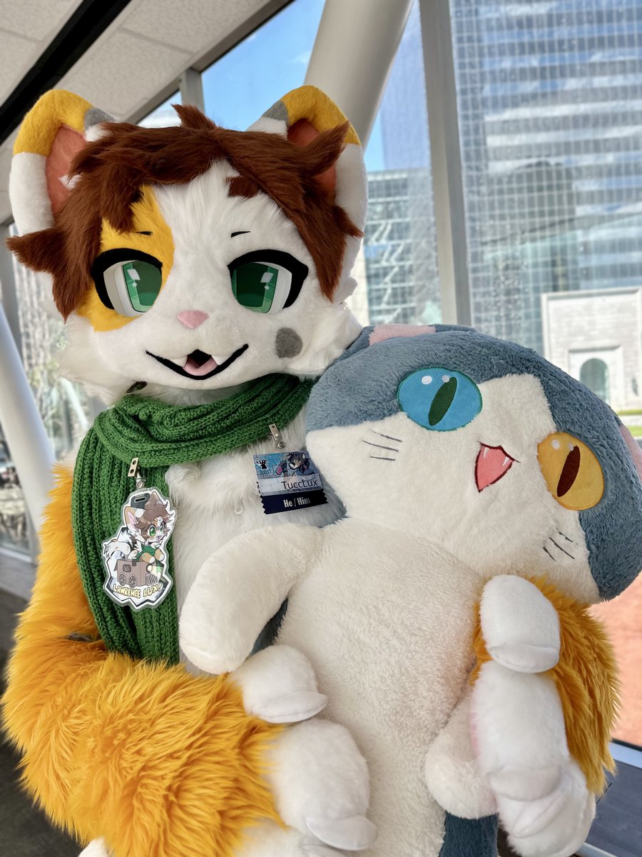 might I offer you a sharkitty hug in these trying times

📸 - @popcore_art #TFF2024