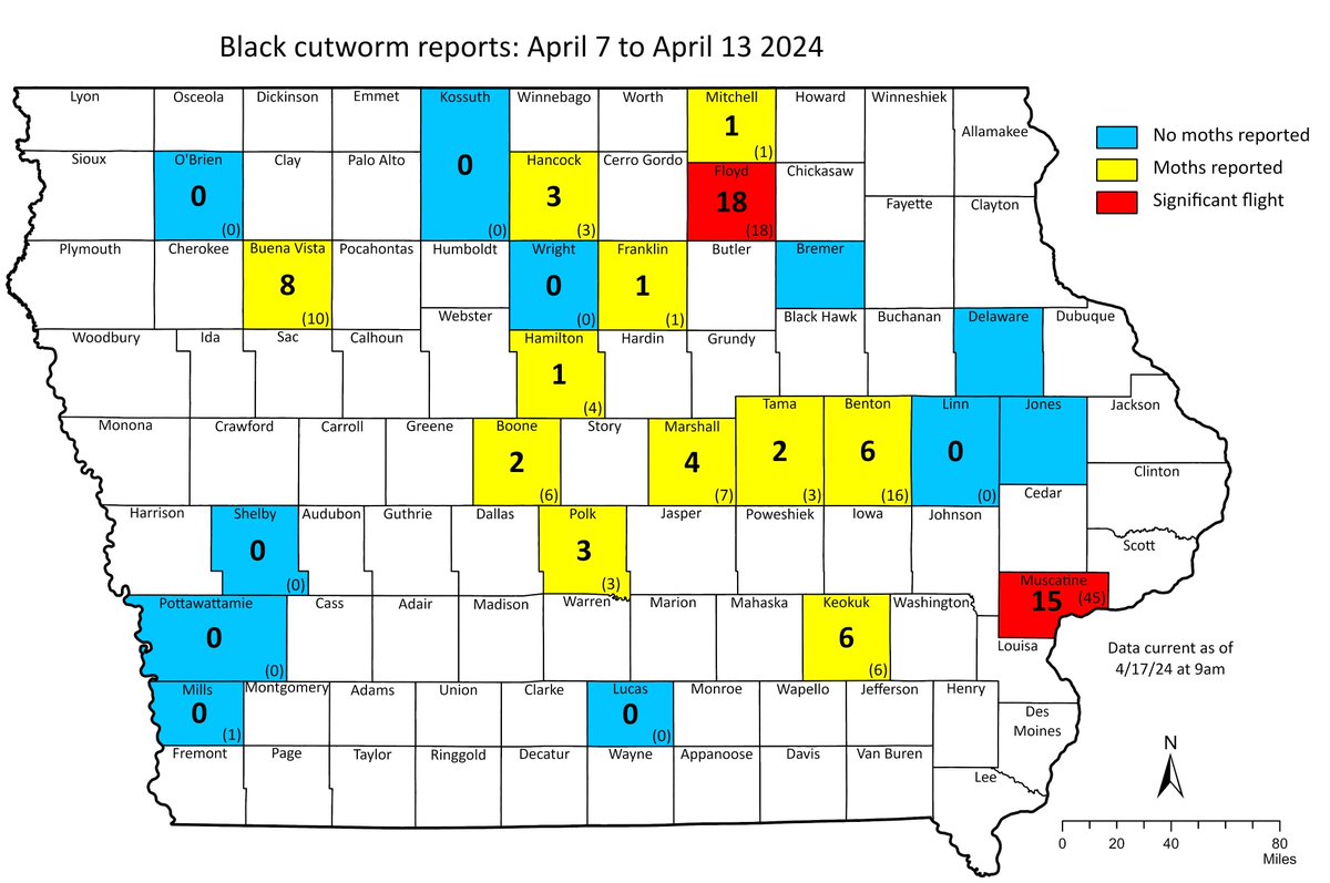 Iowa Moth Trapping Network Week 2 report is now live! 70 total black cutworm moths captured and 2 significant flights last week. crops.extension.iastate.edu/blog/ashley-de…