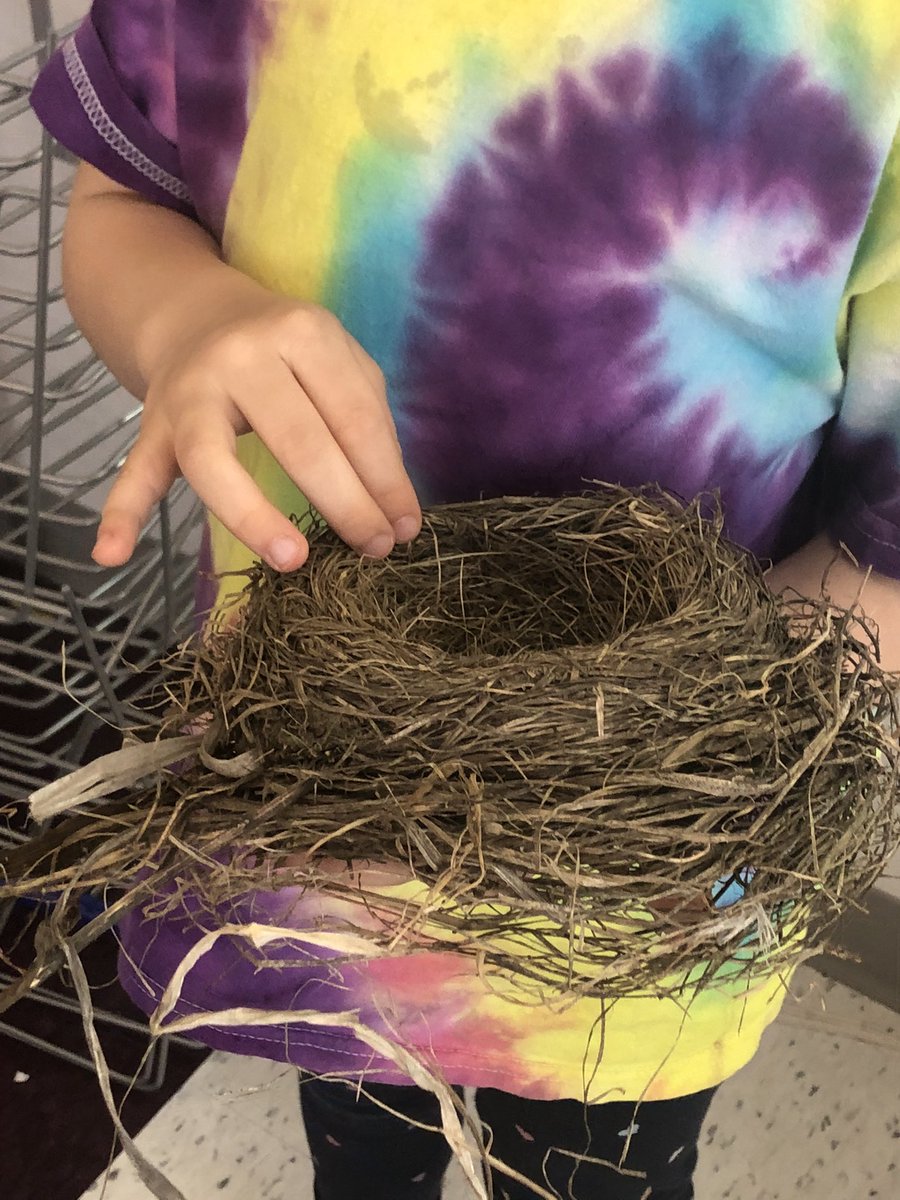Our Winter/Spring Bird Inquiry cont. 🐦‍⬛♥️ Thank you to our friend A and her family for sharing this wonderful find with our class! The children were very excited to see this abandoned nest and hear our friend tell us details about her find! @BernadetteOCSB