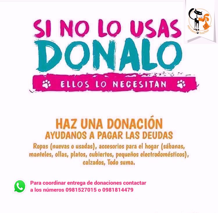 MarcoHuellasPy's tweet photo. Gente linda 🐾tenemos programada una gran feria y estamos recibiendo ropas,zapatos,artículos para el hogar, juguetes,electrodomésticos,etc en buen estado y limpio de modo que podamos volver a vender,para coordinar entrega de donaciones podes escribir al WhatsApp 0981527015 RP🙏🐾 https://t.co/3NBPuFIfhe
