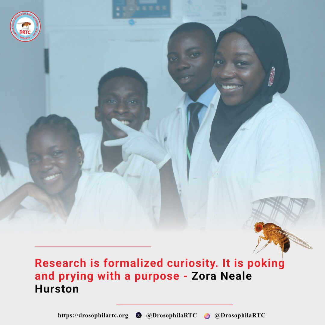 DrosophilaRTC's tweet image. Research: where curiosity meets purpose 🔬

 #research #gradschool #researchlab #drosophilaresearch #biochemistry #biomedicalresearch #cellbiology #genetics #mutation #drtc