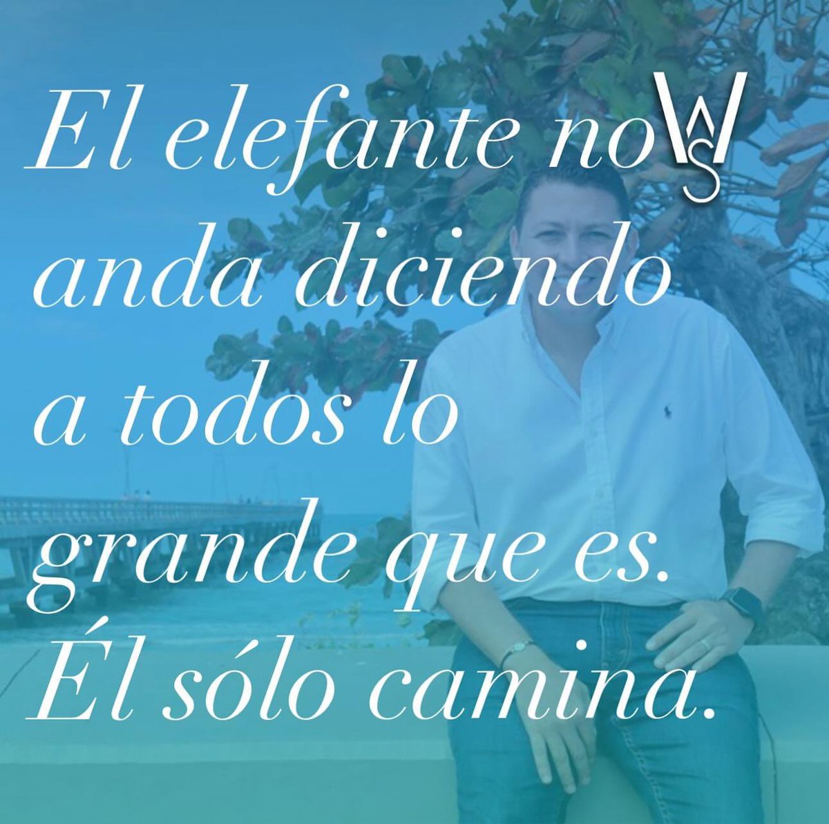 winstonsanchezc's tweet photo. El elefante no anda diciendo a todos lo grande que es. Él sólo camina.

#PildorasParaLaVida
#CadaDíaSerMejor https://t.co/JrzSz4gwxz