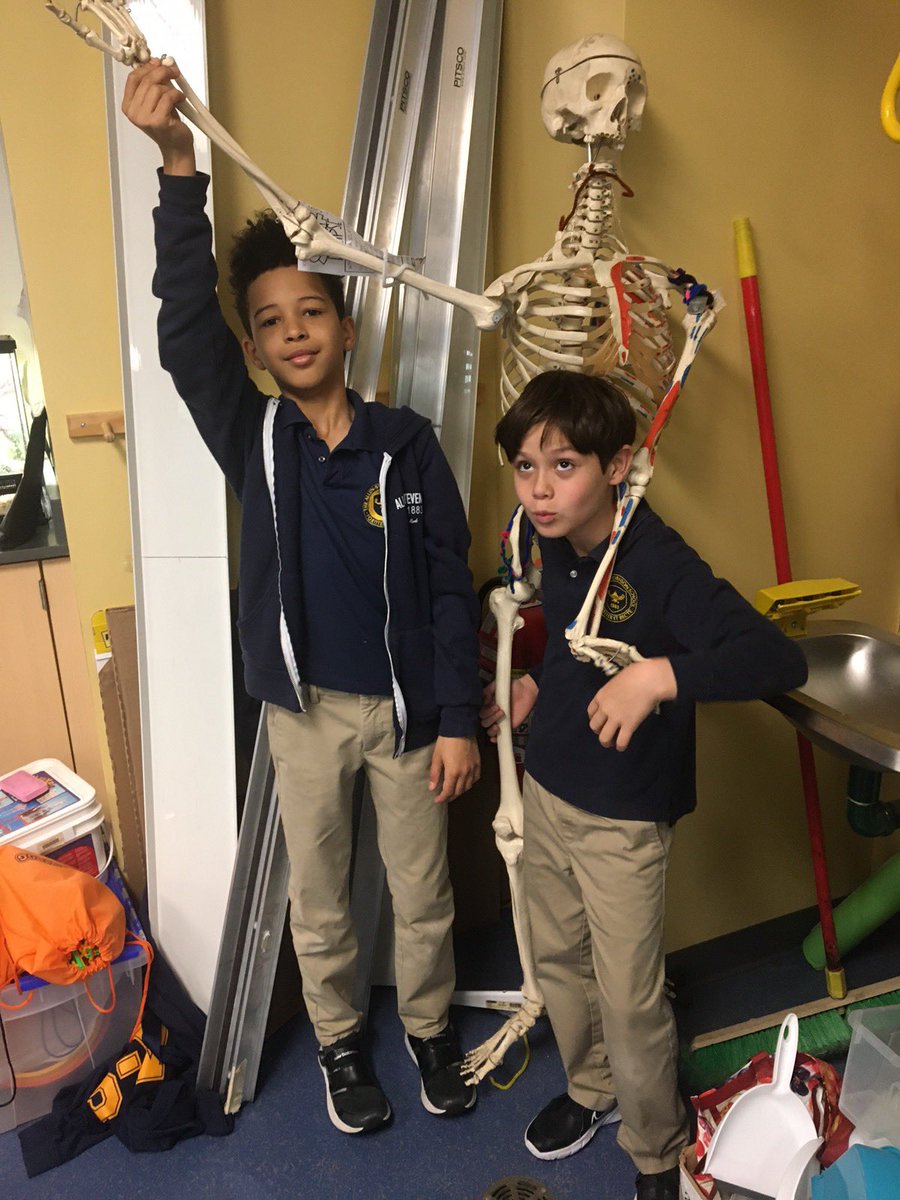 Science & Engineering at Allen Stevenson tweet media