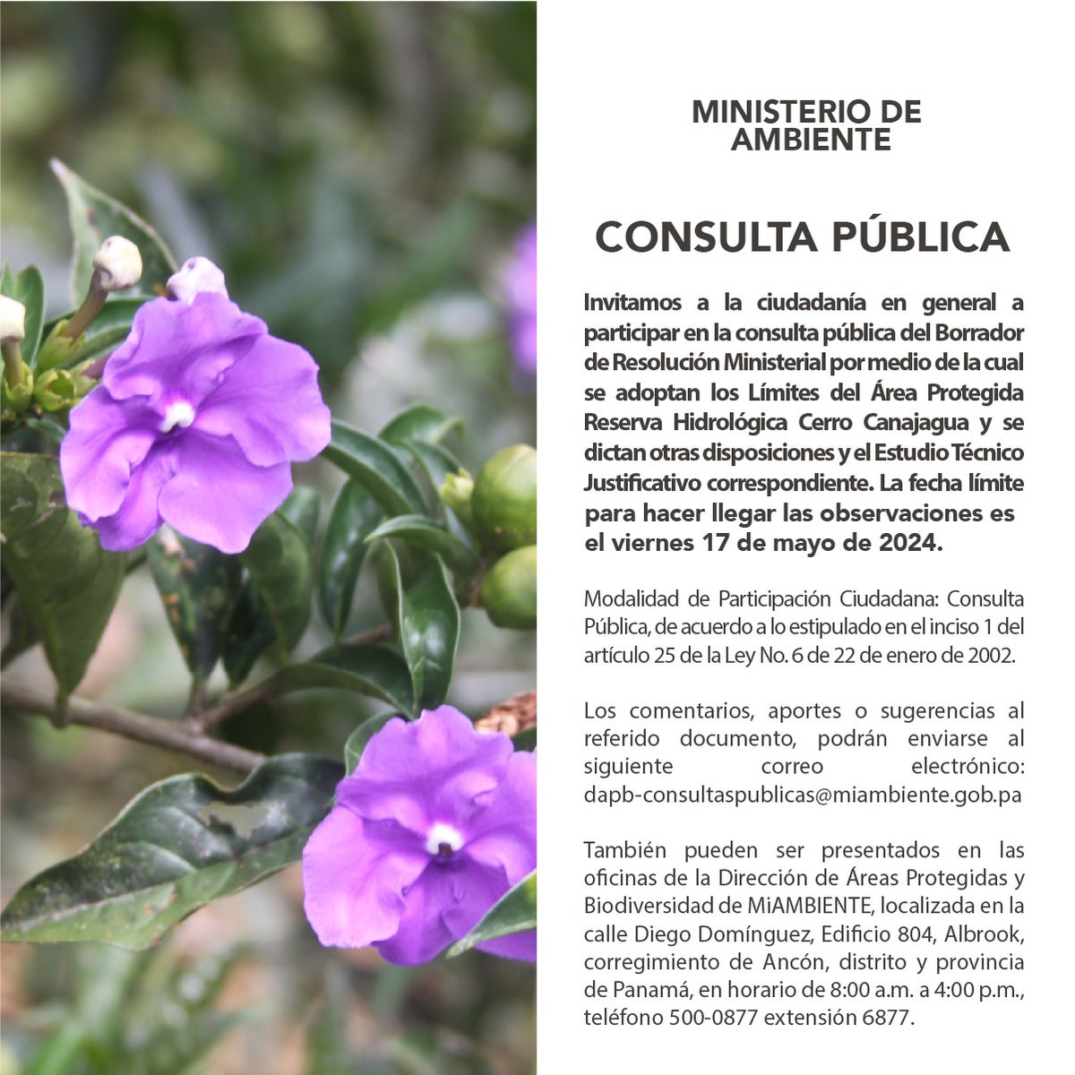 Estamos recibiendo observaciones y aportes de 'Resolución Ministerial que se adoptan los límites y el estudio técnico justificativo del Área protegida Reserva Hidrológica Cerro Canajagua”. Para más información dapb-consultaspublicas@miambiente.gob.pa. ¡Tu opinión es importante!