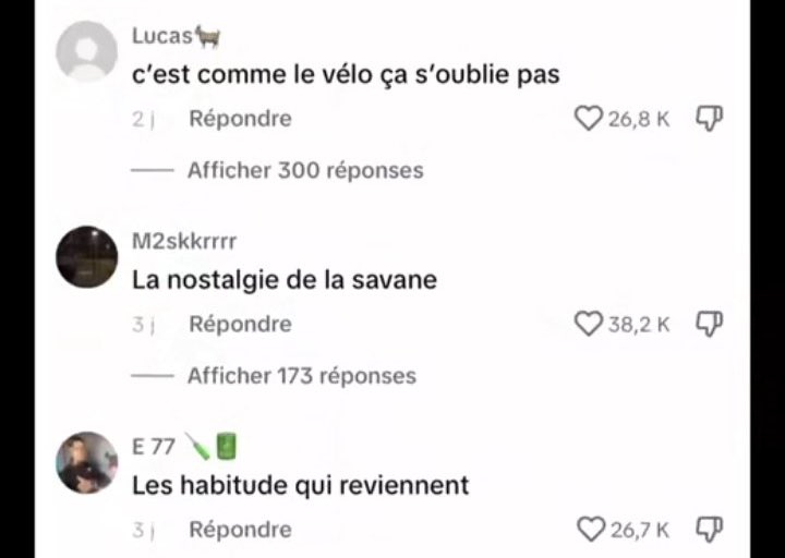 Les dérapages en commentaire