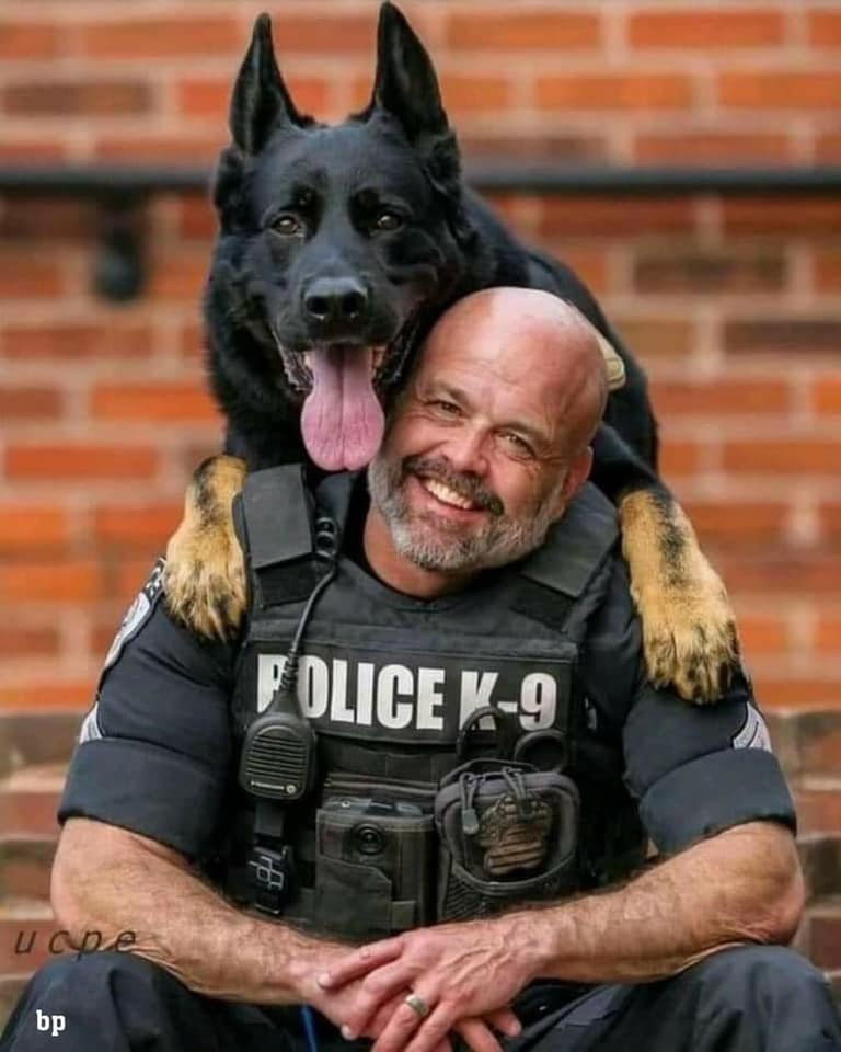 _XDogs's tweet image. Picture of the day, On a scale from 1 - 10 how beautiful is this photo?