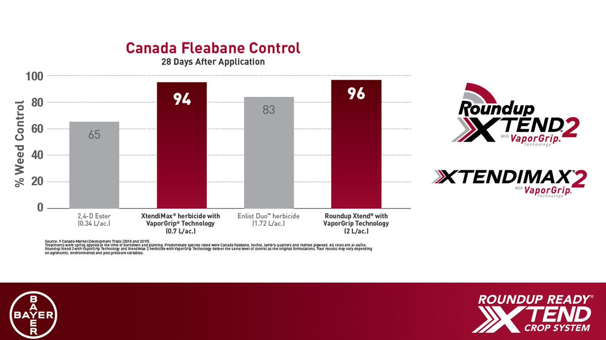 Dicamba + glyphosate tolerance in the #RRXCS gives you two dicamba-based chem options. #XtendFlex soybeans with additional glufosinate tolerance means you have even MORE flexibility in-crop.

I mean, just look at this Canada fleabane control 👀