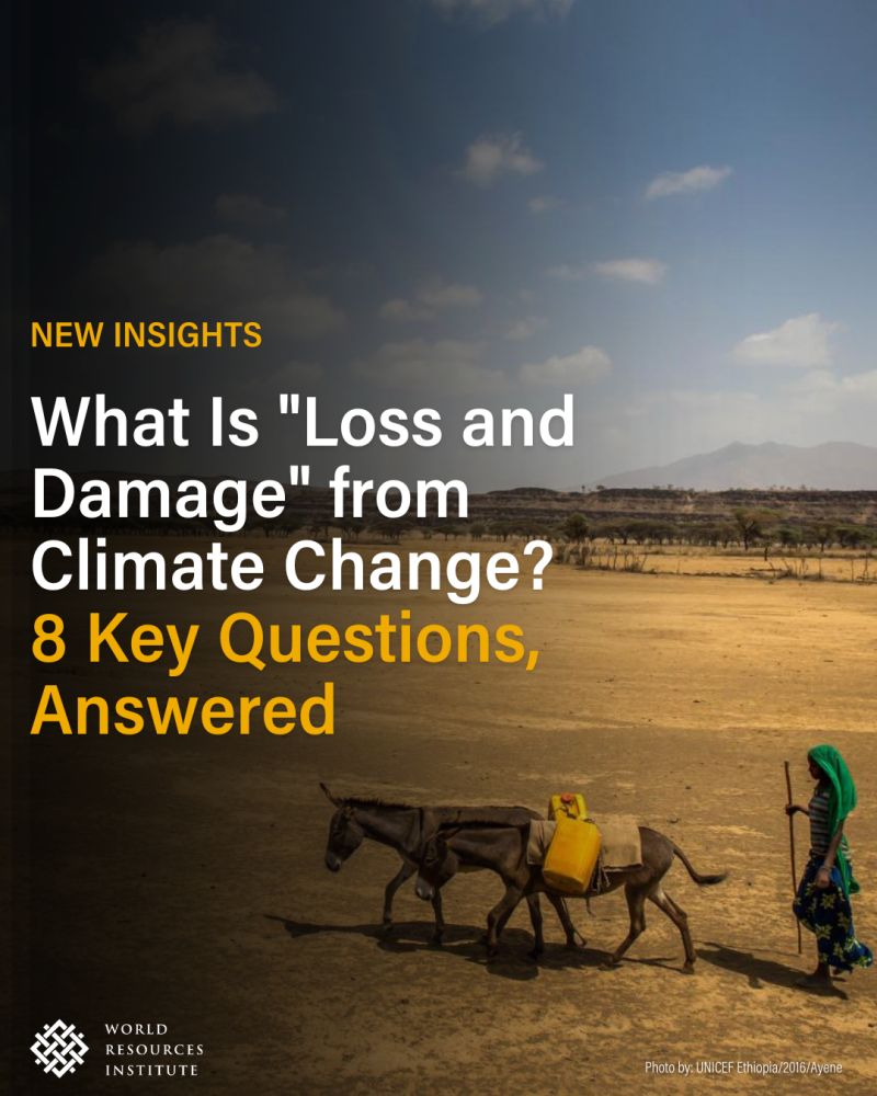 What is Loss and Damage?🌎🌩️ “Loss and damage” is a general term used in UN climate negotiations to refer to the consequences of climate change that go beyond what people can adapt to. 8 Questions Answered👉 bit.ly/48CXINr