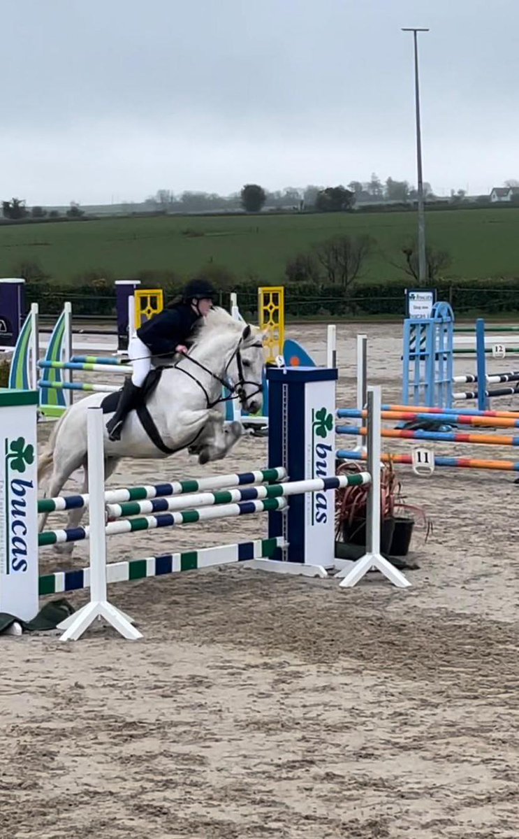 Well done to our 6 students that represented us in Watergrasshill last Friday in an Interschools Showjumping competition. A special mention for Nadine Lane who got 4th in her Individual event! A fantastic day out for all involved. Well done!