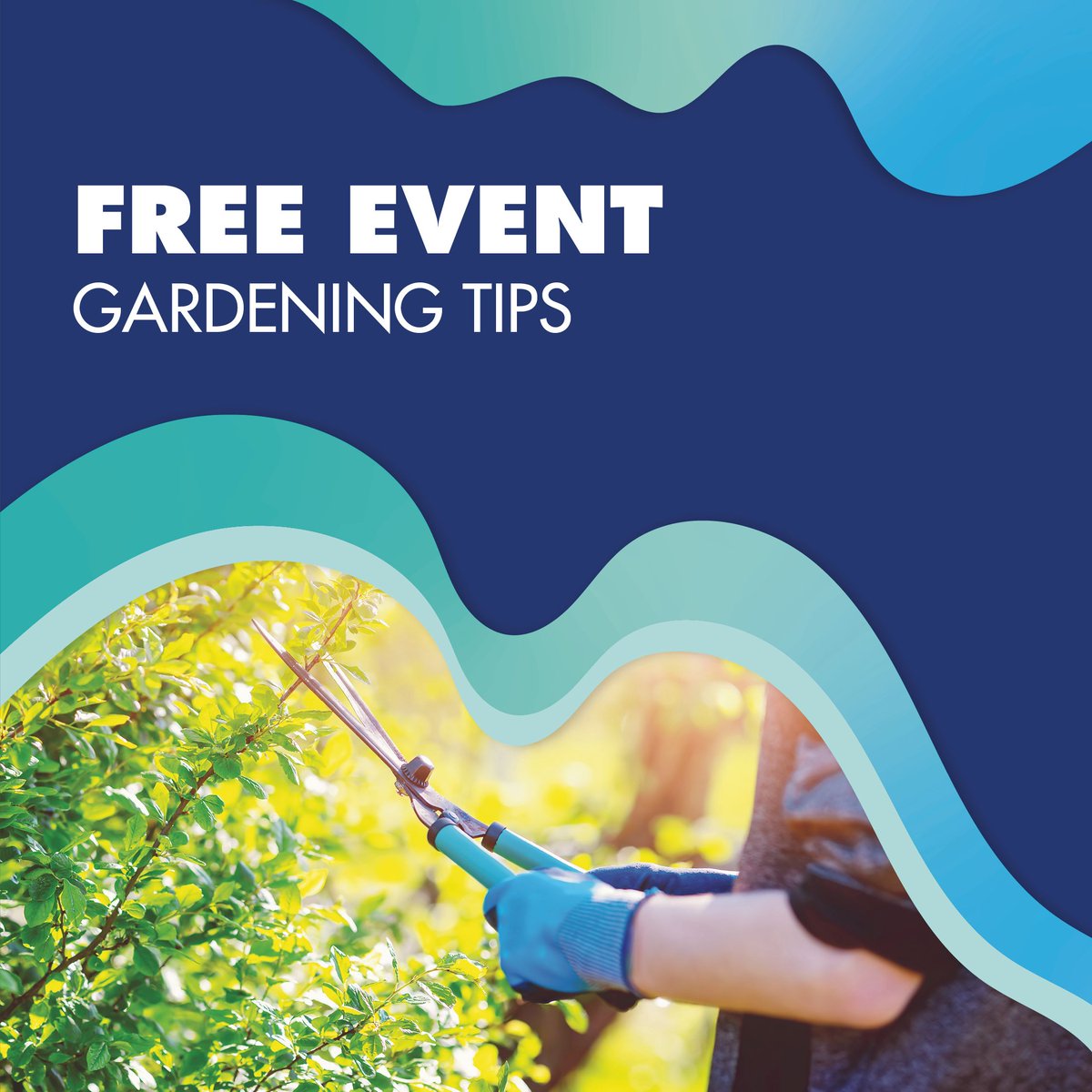 ❗️FREE EVENT: Peoria – The Best Desert Trees 🌲 In this class, a certified arborist will go over some great desert tree options that thrive in our climate and can fit the many needs of your landscape. @peoriaazcam 🗓️ April 20 @ 9:30 am - 11:00 am 📍buff.ly/3RXagcg