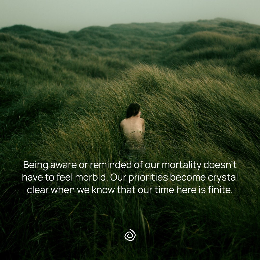 Hello, Mortal tweet media