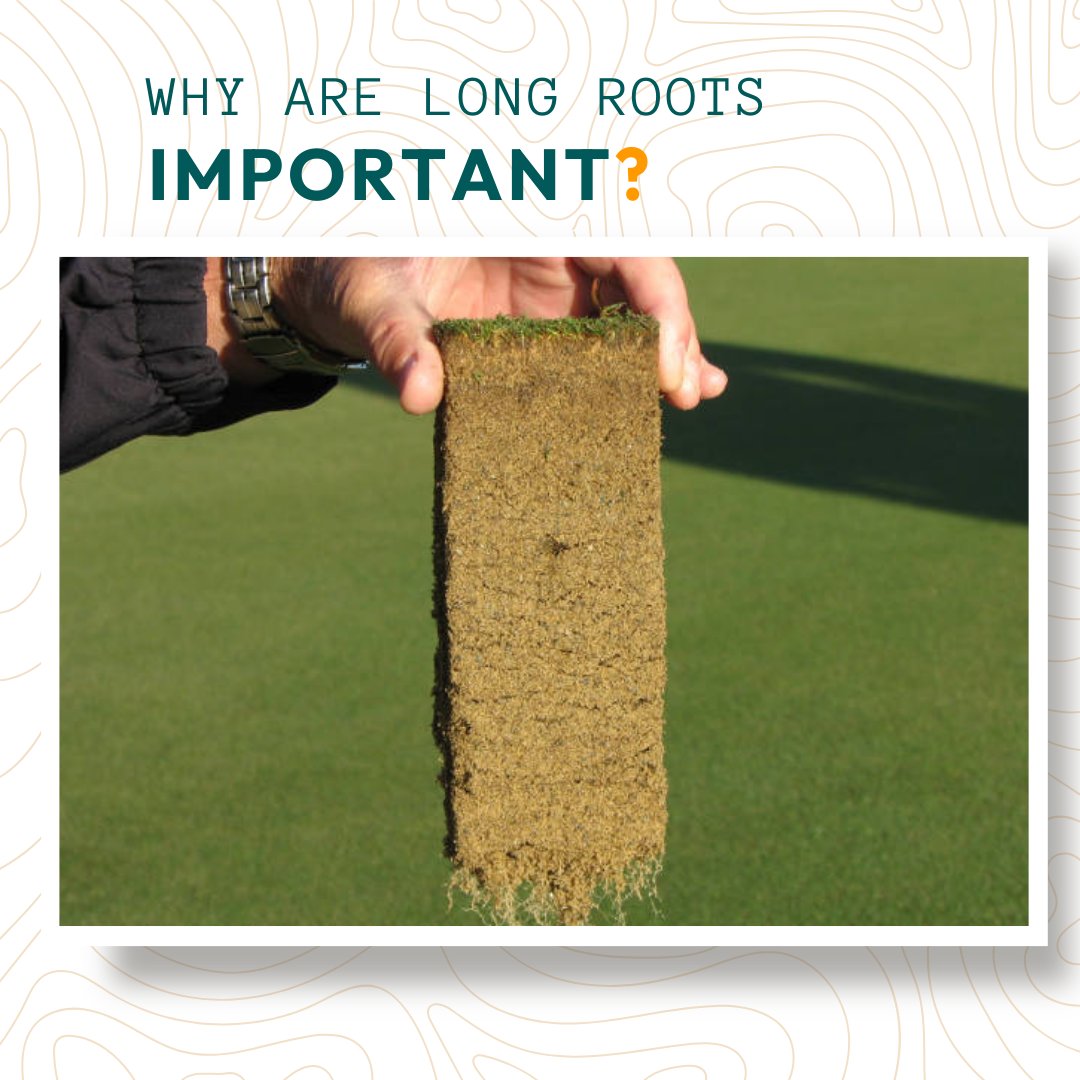 En-Turf by Earth Microbial tweet media