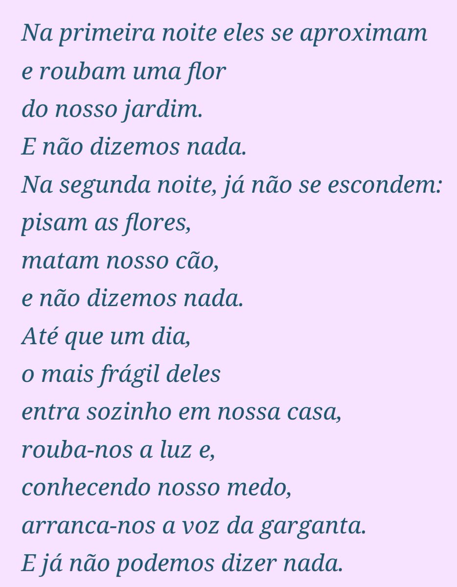 ciro insalubridades tweet media