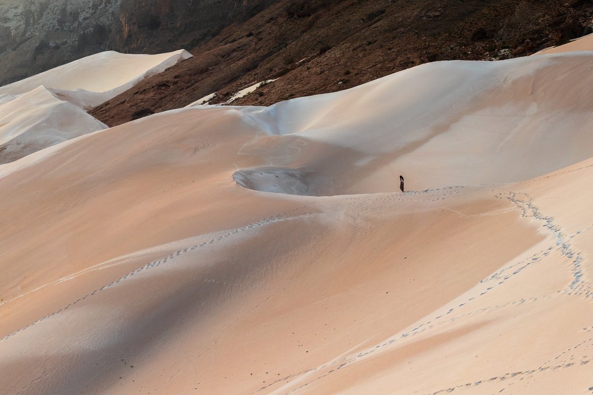 This week in Editor's Choice 📷 Explore more work hand-picked by our editors: on.500px.com/EC