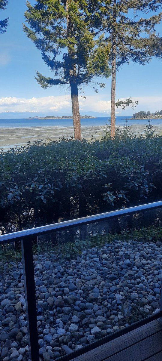 View from room where I watched game last night. Parksville is Allright