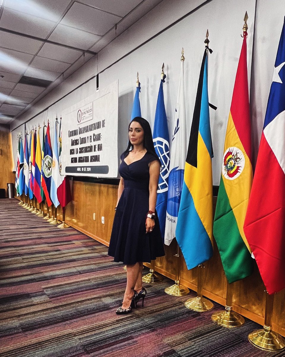 KARLABASO's tweet image. Encuentro Interparlamentario de América Latina y el Caribe. Cámara de Diputados de México. #karlabaso #mujermigrante #sociedadcivil #migrantes #mexico #guatemala