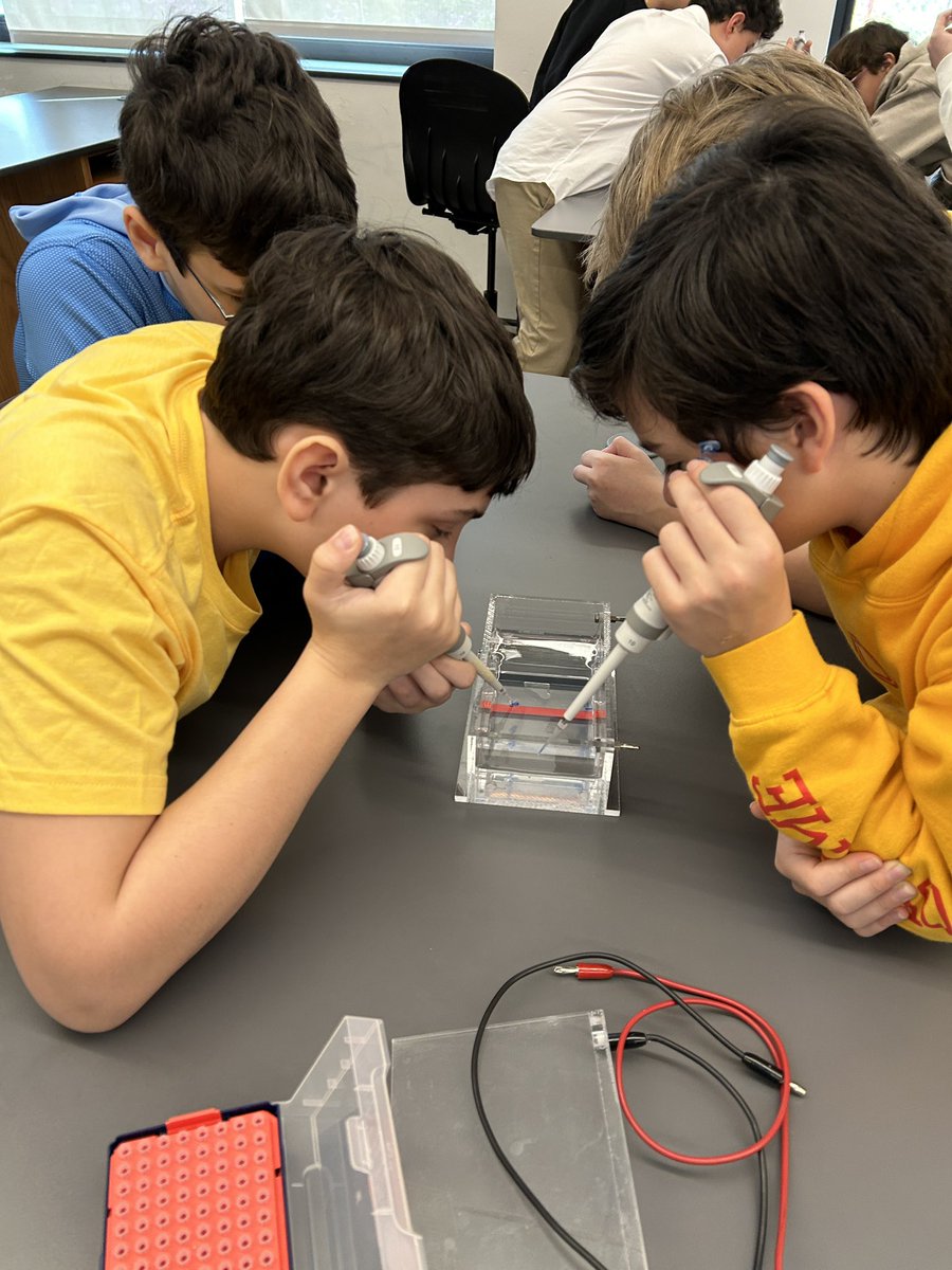 Science & Engineering at Allen Stevenson tweet media