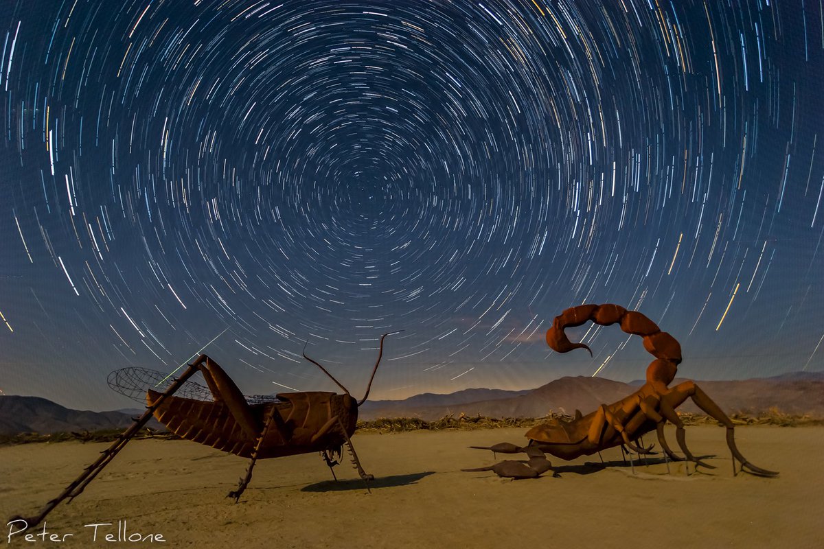 “Fight to the Death”
Portfolio Review for a Wednesday
From august 2016 in Borrego Springs California 
#portfolioreview #anzaborrego #borregosprings #fullmoon #recardobreceda #startrails