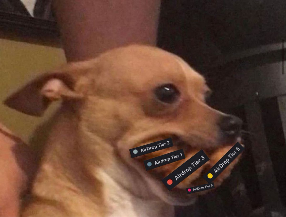 carlynhapop's tweet photo. What's in the dog's mouth? The main gift of April - airdrops from https://t.co/yiBT2Raols!!!
 All details 👇
@ionet 
@Tinkerino21 @mcdooganIOnet @ionet_my 

Discord: carla.mir https://t.co/vnvk3wwo7P