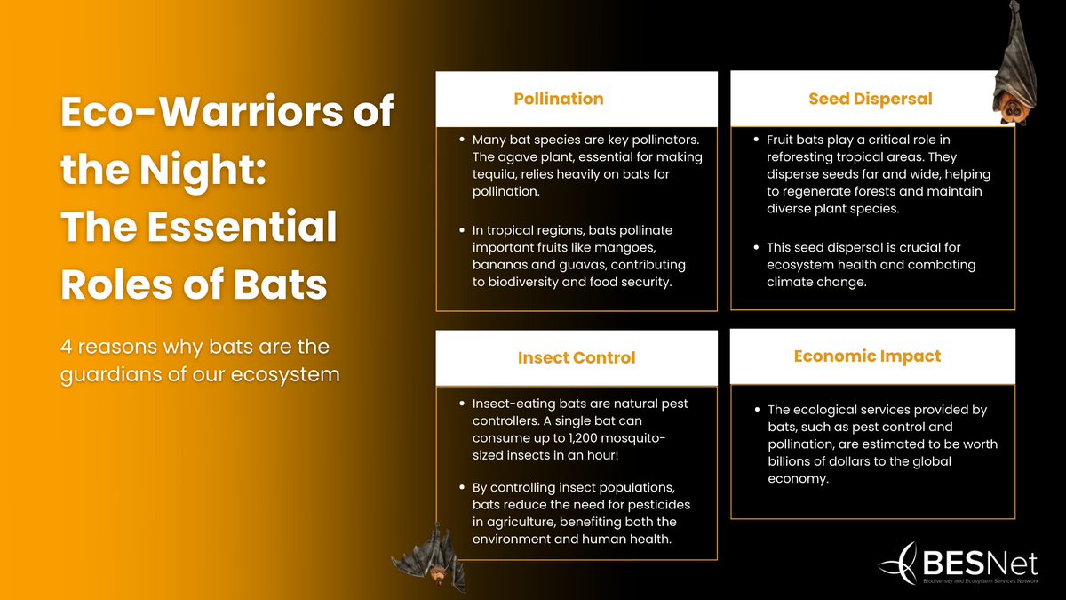💡 #DYK that bats 🦇 support the regeneration of forests and the health of our crops? 🌱🌳

Learn about their critical ecological roles – from #pollination to insect control. 👇
