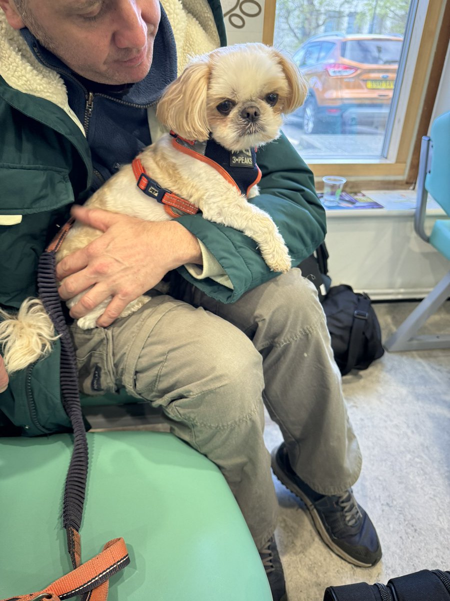 Darth_Rubykins's tweet image. Waiting pawtiently to see da vetty man at da specialist @RoyalVetCollege to see if Dey can elp wid me bladder pawblem. 

Pals me still keeping up da fight 👊 💥 

Plus me met a new pal Mabel. 

RaaaAaaaaaaa 

Lub Roob xxx hopings to be back on PAWTROL soon 
#ZSHQ