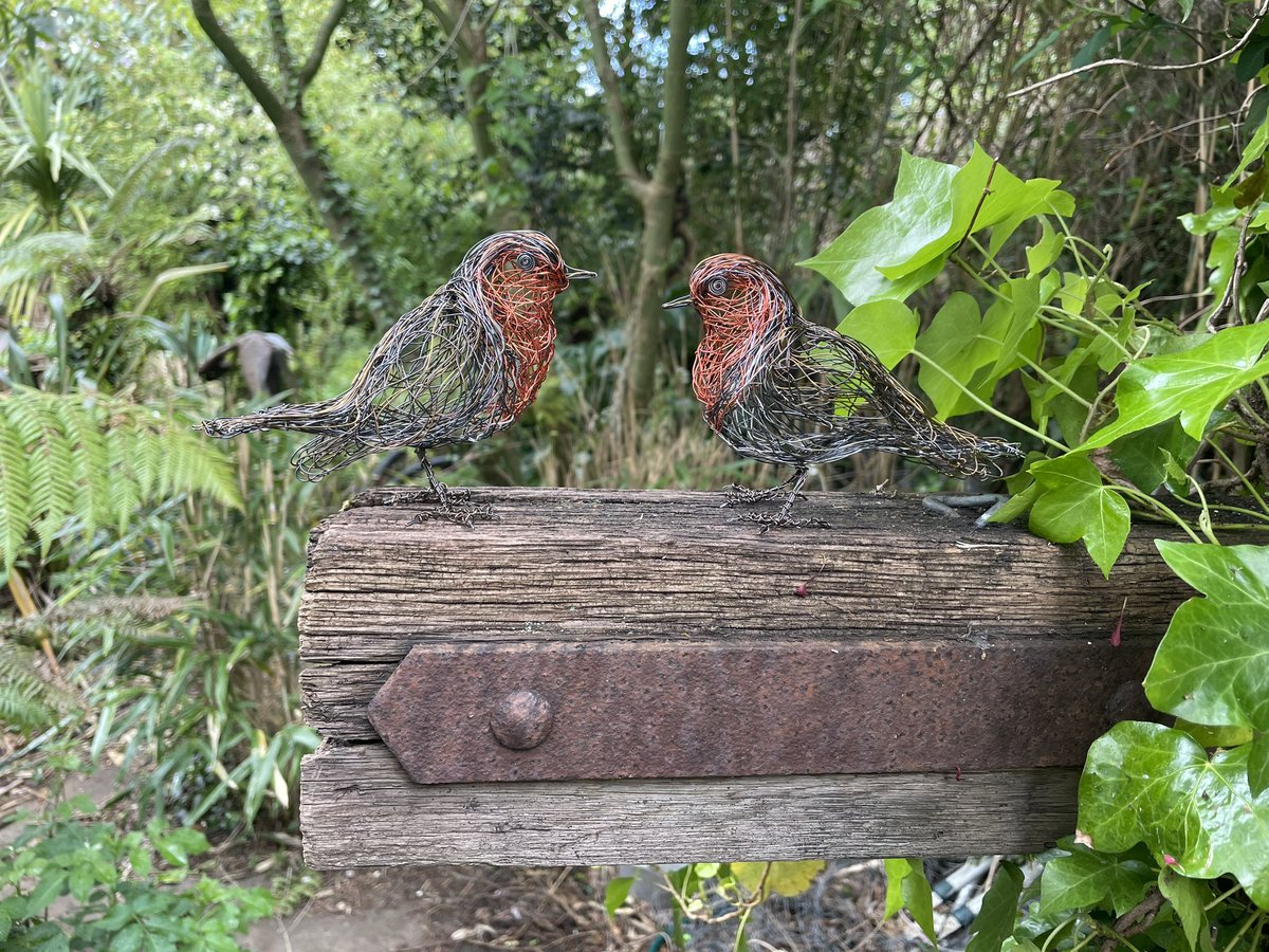 A pair of Robin just finished and ready to fly to their new home in Germany 🇩🇪 #wireartist #wirebirdsculpture #germany #birdswithoutborders #robin #birdart