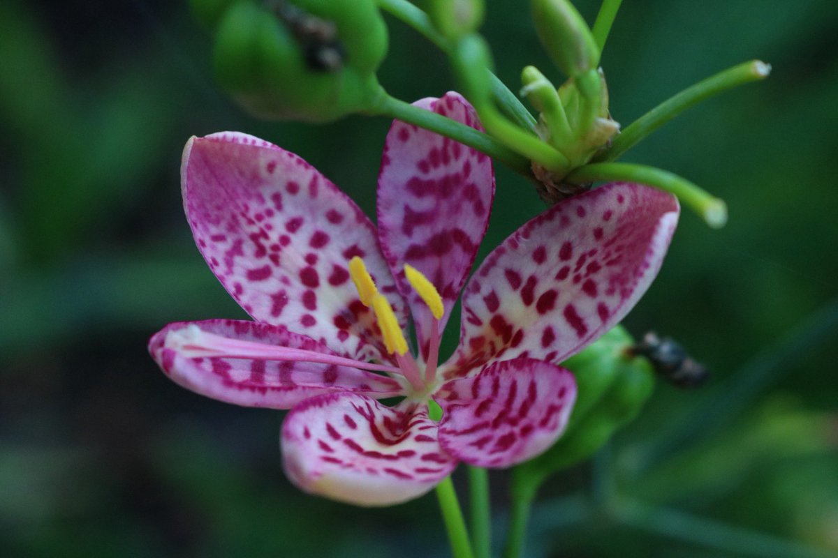 Damien Harkin tweet media