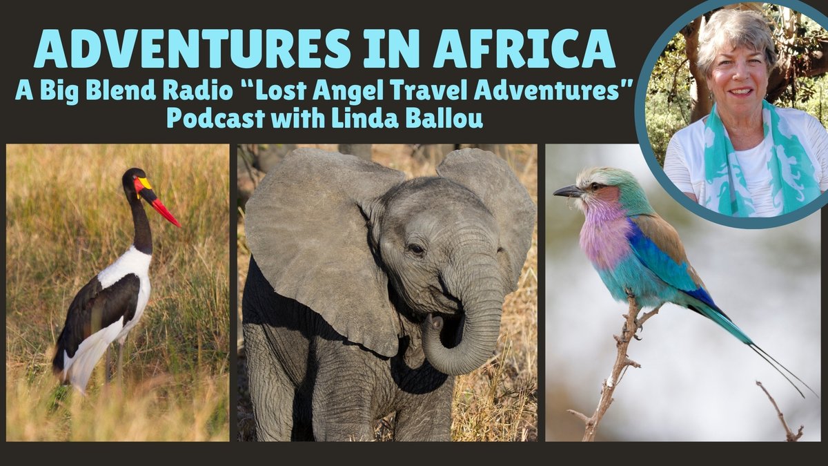 From the Okavango Delta in Botswana to Zambia and Zimbabwe, this episode of Big Blend Radio's 'Lost Angel Travel Adventures with Linda Ballou' podcast highlights some of Linda's amazing adventures in Southern Africa. youtu.be/J6lqajXxWXc?fe…