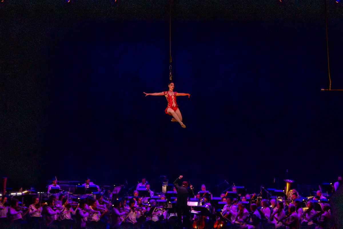 CirqueMusica tweet picture