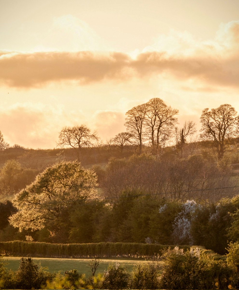 It's a beautiful evening in County Durham.
#CountyDurham