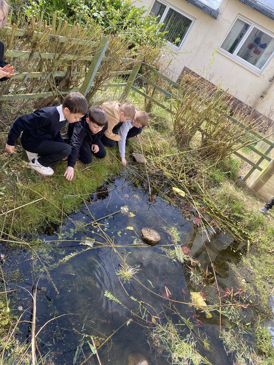 Mrs Bonham tweet media