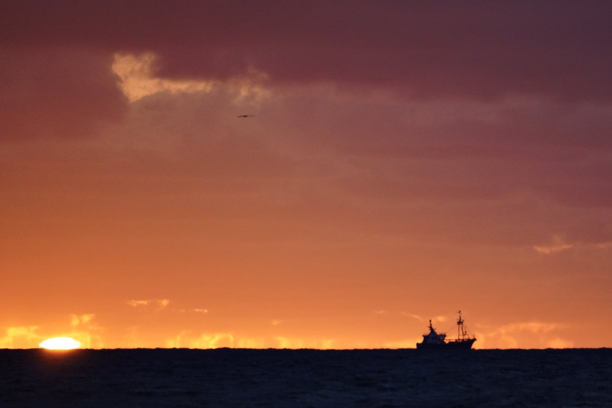 #Noordzee #kust #visserij #beleving 
 Net voor de zon onderging , nog een kleine knipoog 😉  met de WR-12 Emma .
Doei 👋🏻 👋🏻