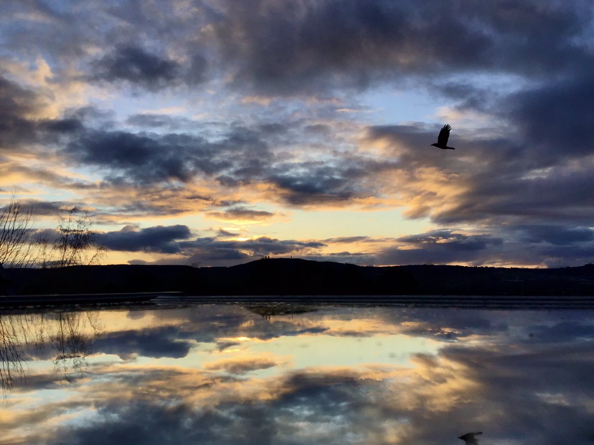 Flying into the sunset… 

Wednesday evening sundown skies over Inverness 

#ThePhotoHour #LoveUkWeather
@metoffice #ScottishHighlands