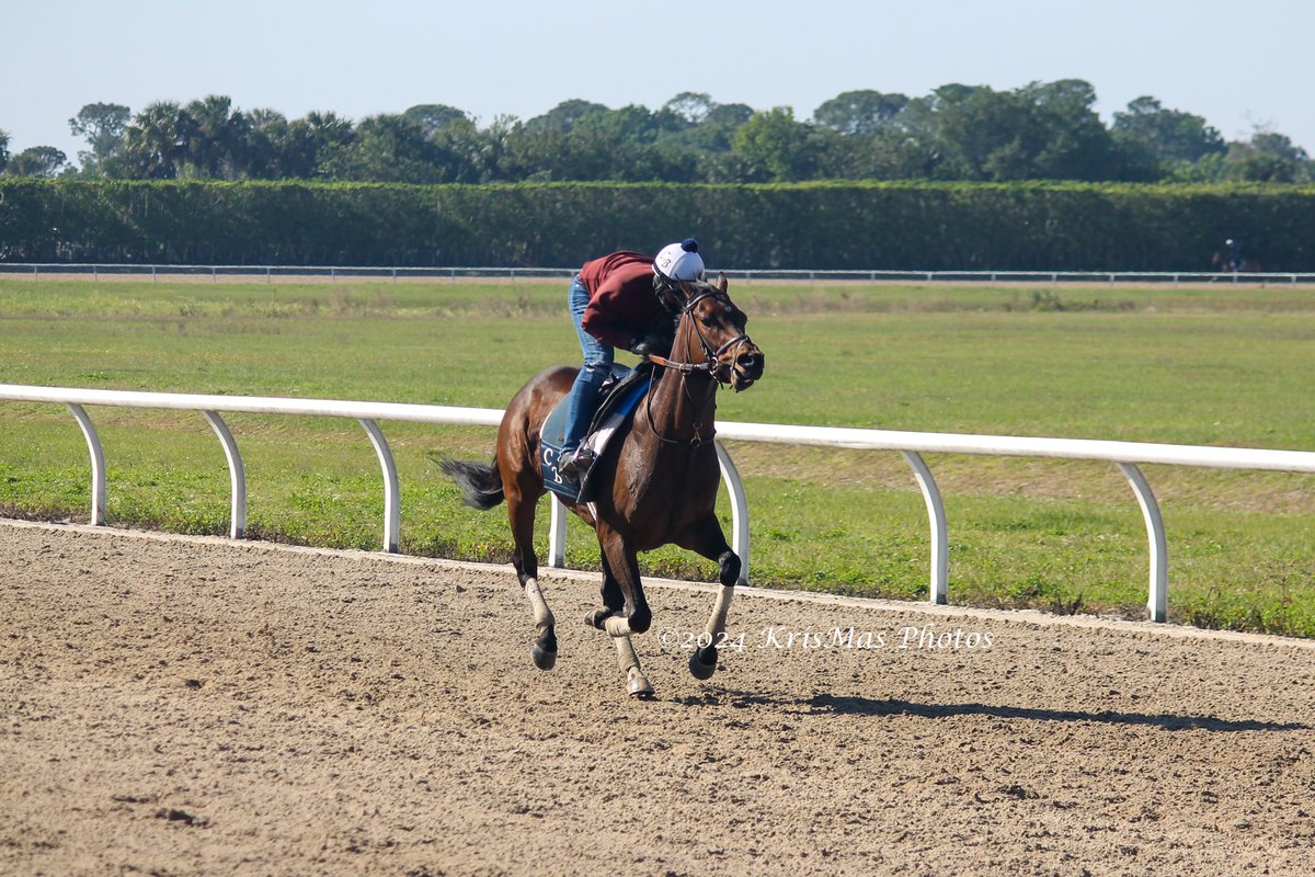 KrisMasPhotos's tweet photo. @payson_park #chadbrownracing #KrisMasPhotos https://t.co/Um7DvvsQW3