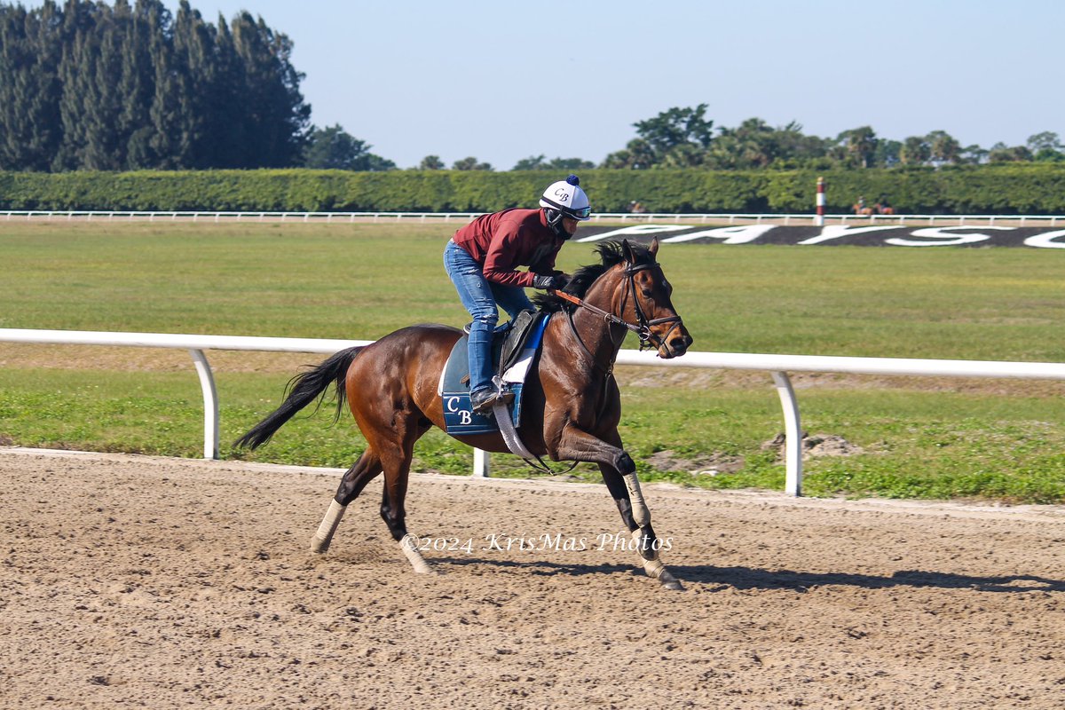 KrisMasPhotos's tweet photo. @payson_park #chadbrownracing #KrisMasPhotos https://t.co/Um7DvvsQW3