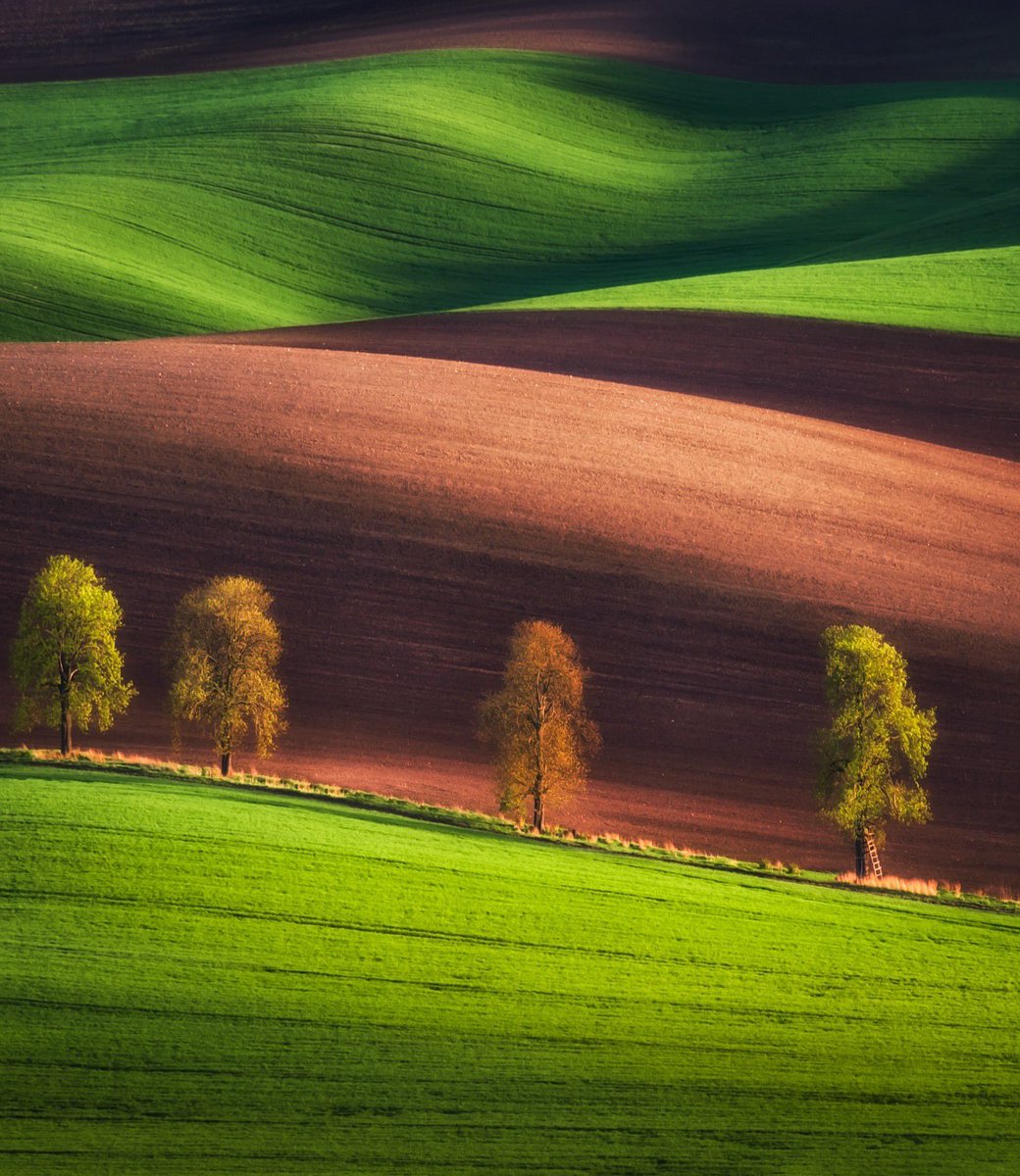 Hay paisajes que parecen lienzos…

Moravia 

(📸©️Samuel Leško)