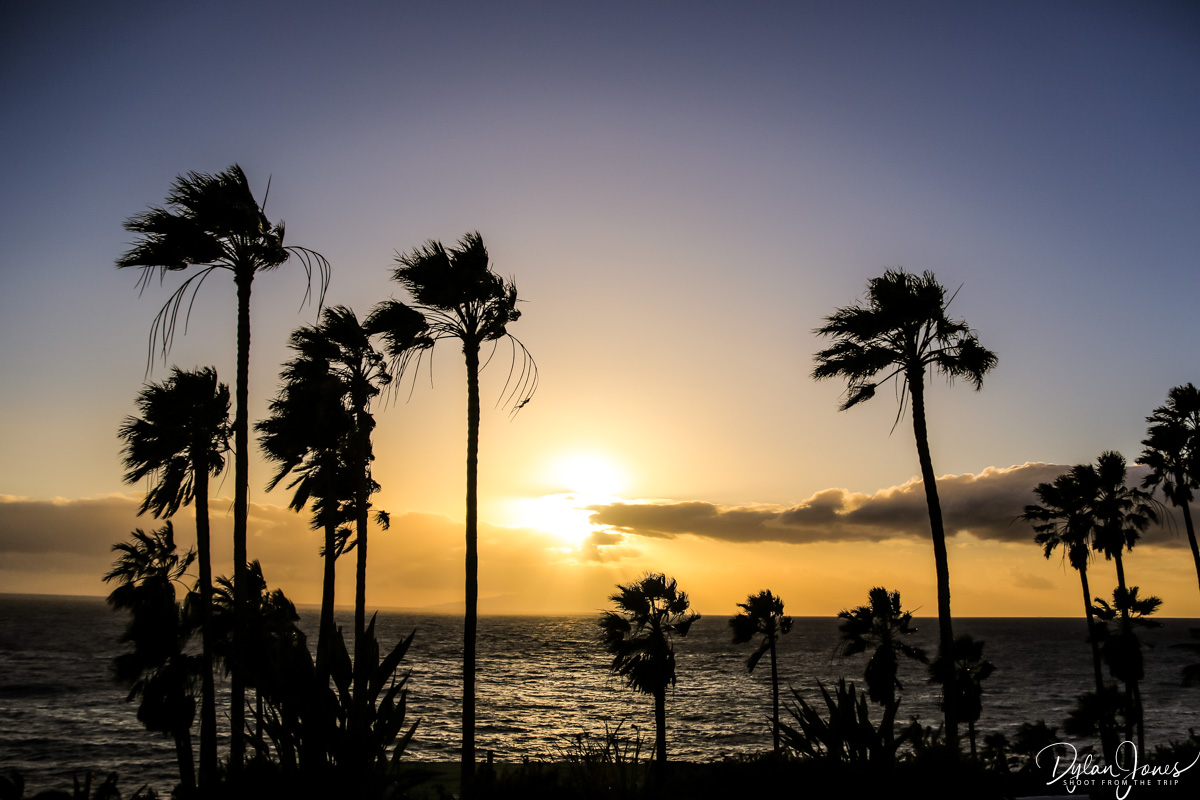 Shootfromttrip's tweet photo. AD | Having been invited to fly on Jet2's inaugural flight from Liverpool John Lennon Airport to Tenerife in March 2024, we enjoyed the airport celebrations before heading off to the sun for a weekend break.

Did you know Jet2 now fly from Liverpool?

https://t.co/7YtVfMOTod https://t.co/JHFPfeZCdy