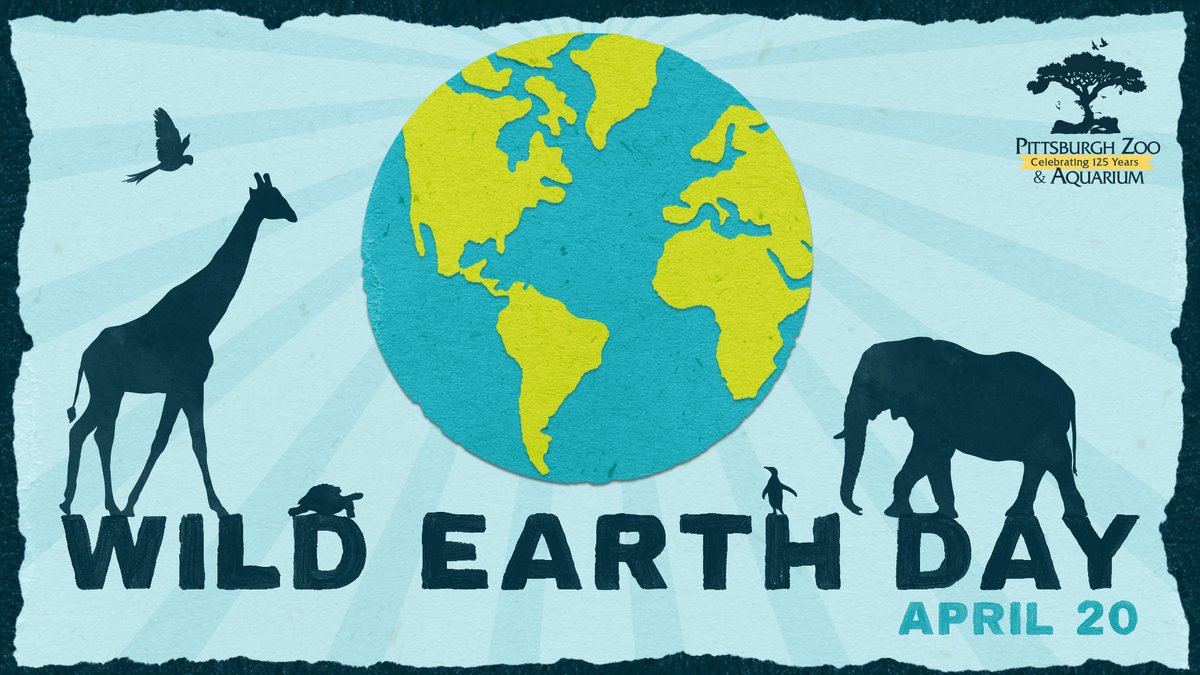 Join us for Wild Earth Day this Saturday, April 20th! Pittsburgh Earth Day and Green Voice join the Zoo in presenting a day honoring our planet. Enjoy live music, art, and educational opportunities while meeting representatives from some of our community's greenest organizations!