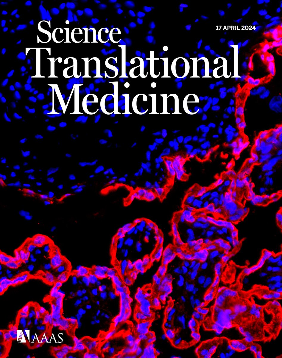 Don't miss this week's issue of #ScienceTranslationalMedicine! A #DeepLearning platform doubles detection rates for early-stage esophageal #cancer, a large clinical study helps answer why #COVID19 is more severe in older adults, and more. scim.ag/6Dj