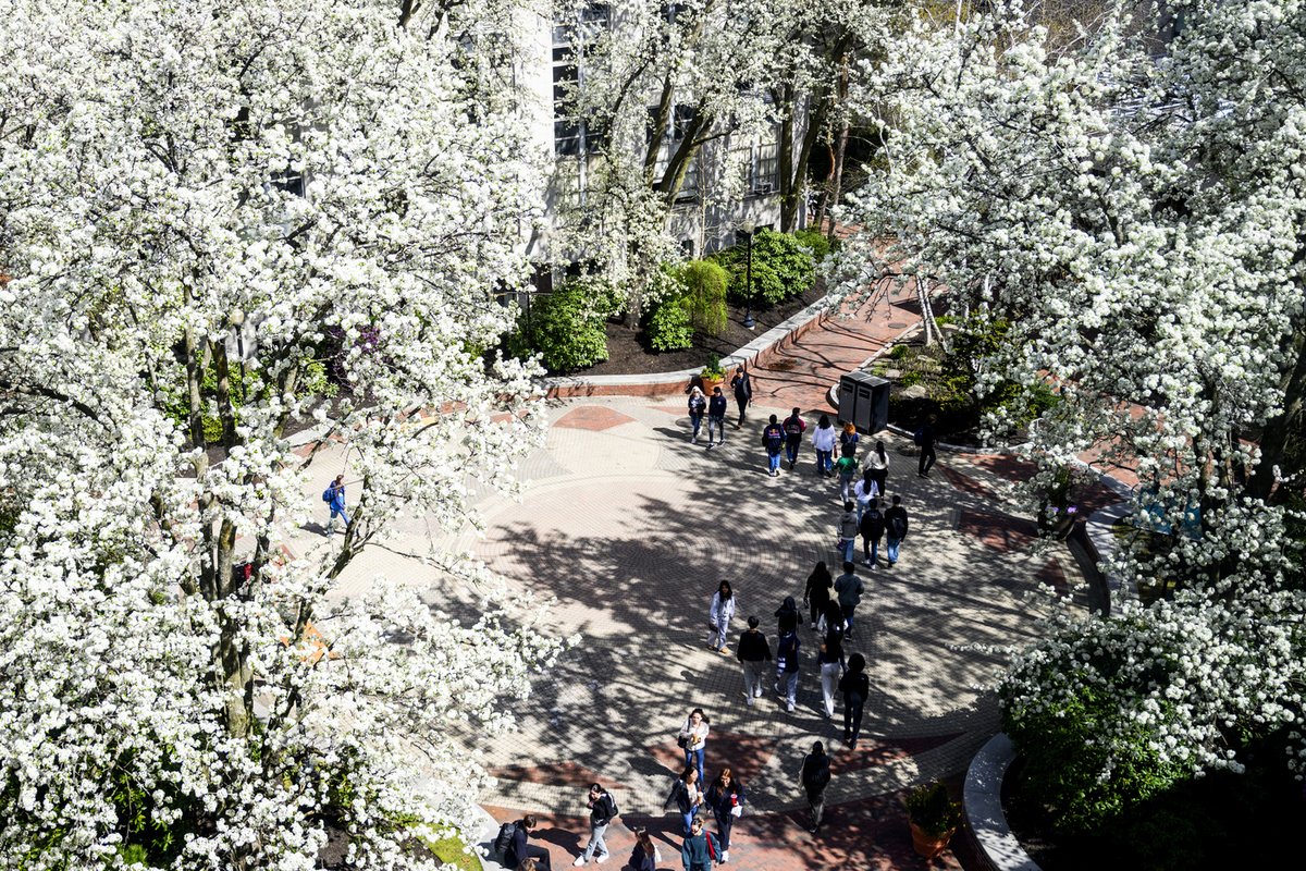 Spring is here and so is the vibe! 🌸 Our Boston campus is blooming with life.