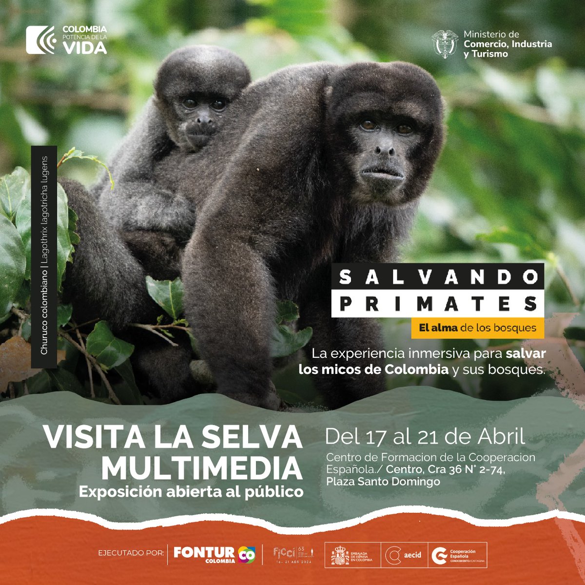 CFCECartagena's tweet image. 🖼️  ¡Visita la selva en la ciudad! Durante los días del @_FICCI_, en el @CFCECartagena estará abierta al público la exposición “Salvando Primates”. 

📌  La exposición será inaugurada hoy miércoles 17 de abril a las 6:30 p.m. Te esperamos.

#FICCI63 #CooperaciónEspañola