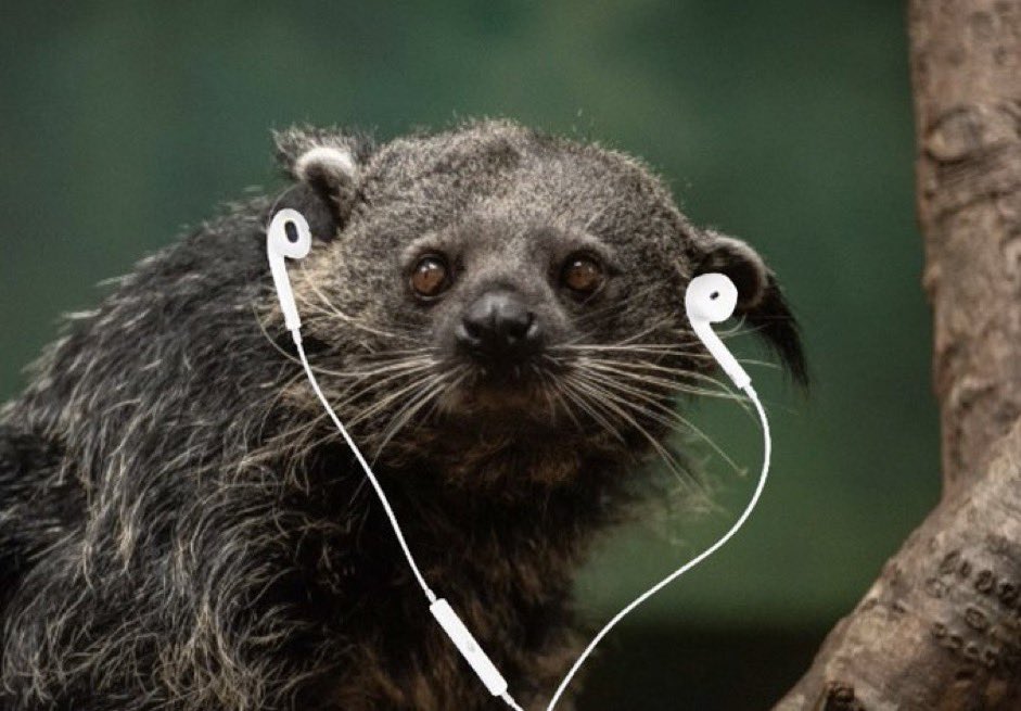 What are they listening to