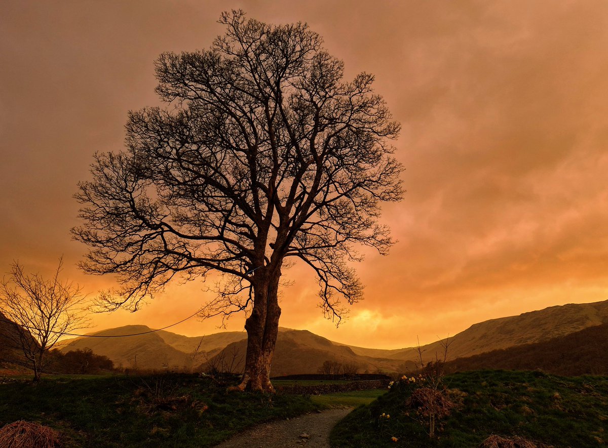 Peak golden hour in Borrowdale

#LakeDistrict #stormhour #photography #sunset