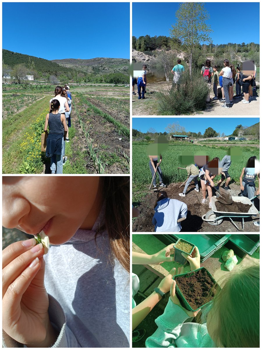 Día estupendo en la Huerta de Abril😊😊. Hemos aprendido mucho de las plantas. <a href="/HBSTORREJON/">Humanitas Torrejón</a> <a href="/alexHBST/">alexhbst</a>