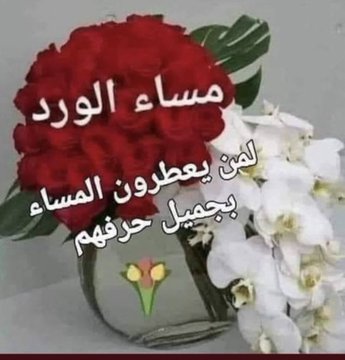 🌷رهـــف 🌹🌹🌹 (@xxdrswaggerxx) on Twitter photo 2024-04-17 19:20:44