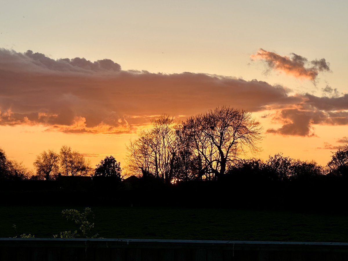 muppetmoment's tweet photo. Sunset at #MuppetManor #TreeClub🌳 https://t.co/1eW7IpNiyw