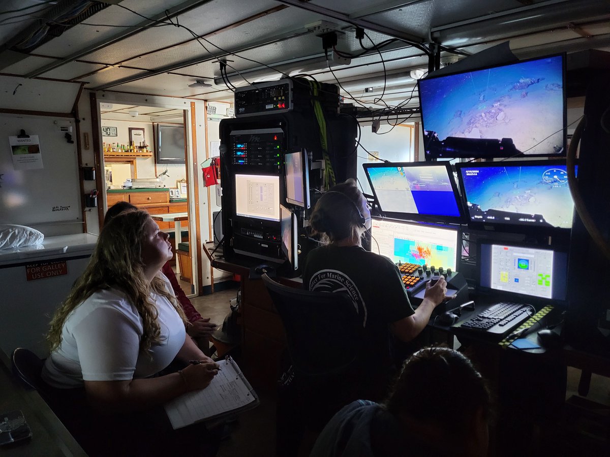 Happening now: Scientists with @HarborBranch are using a @UNCWilmington ROV to search for sponges, corals, & microorganisms in deepwater areas around Puerto Rico & USVI that could play a role in the treatment of existing and emerging diseases. oceanexplorer.noaa.gov/explorations/2…