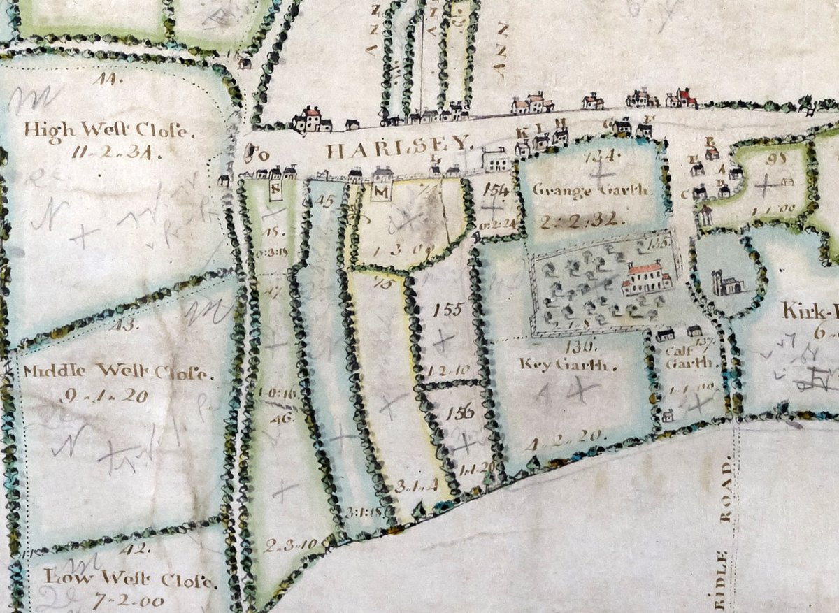 It's #MapMonday! How about this wonderful detail of the village from a plan of the estate at Harlsey, 1762, from the Earl of Harewood's estate collection [ZNS]