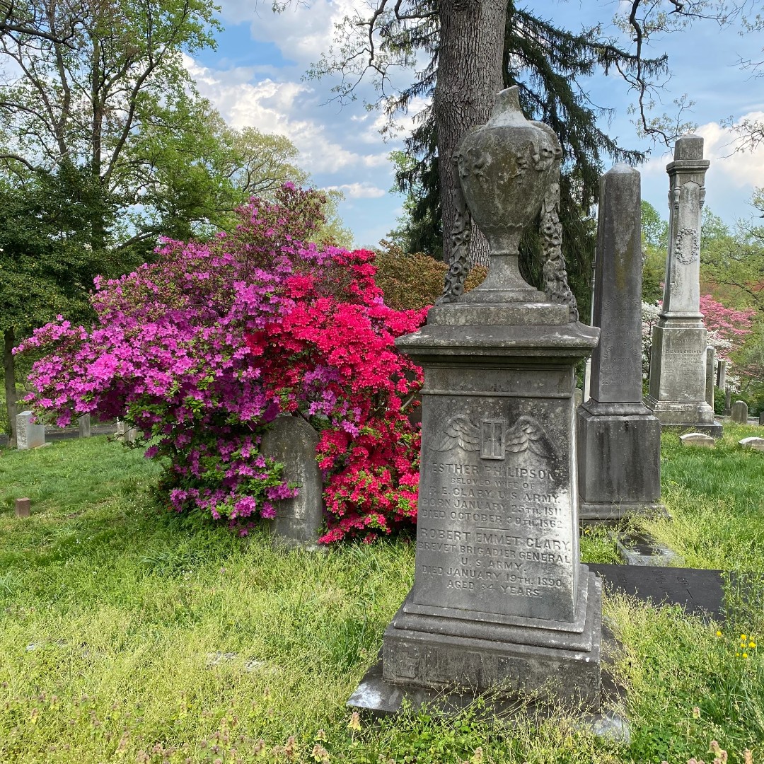 OakHill_DC's tweet photo. “That is one good thing about this world...there are always sure to be more springs.” ― L.M. Montgomery
#AzaleasinBloom #OakHillCemeteryDC https://t.co/LxJenhcY9E